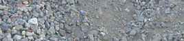 www.sbh-lohmen.de